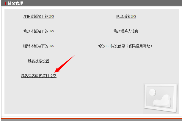 新网域名管理